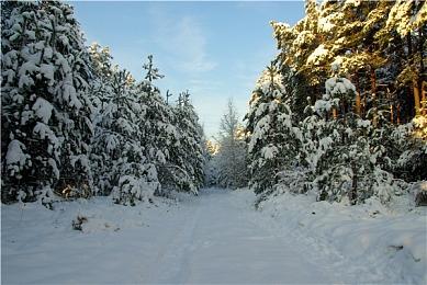 《质量效应5》也将提供多结局 网友：多结局游戏伟大