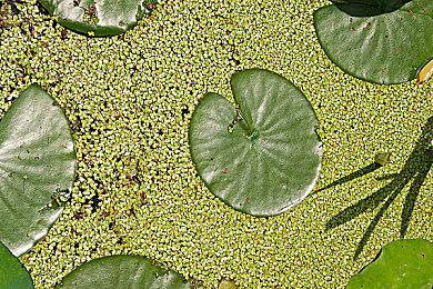 腾讯：《全境封锁2》国服终极测试将上线！不删档